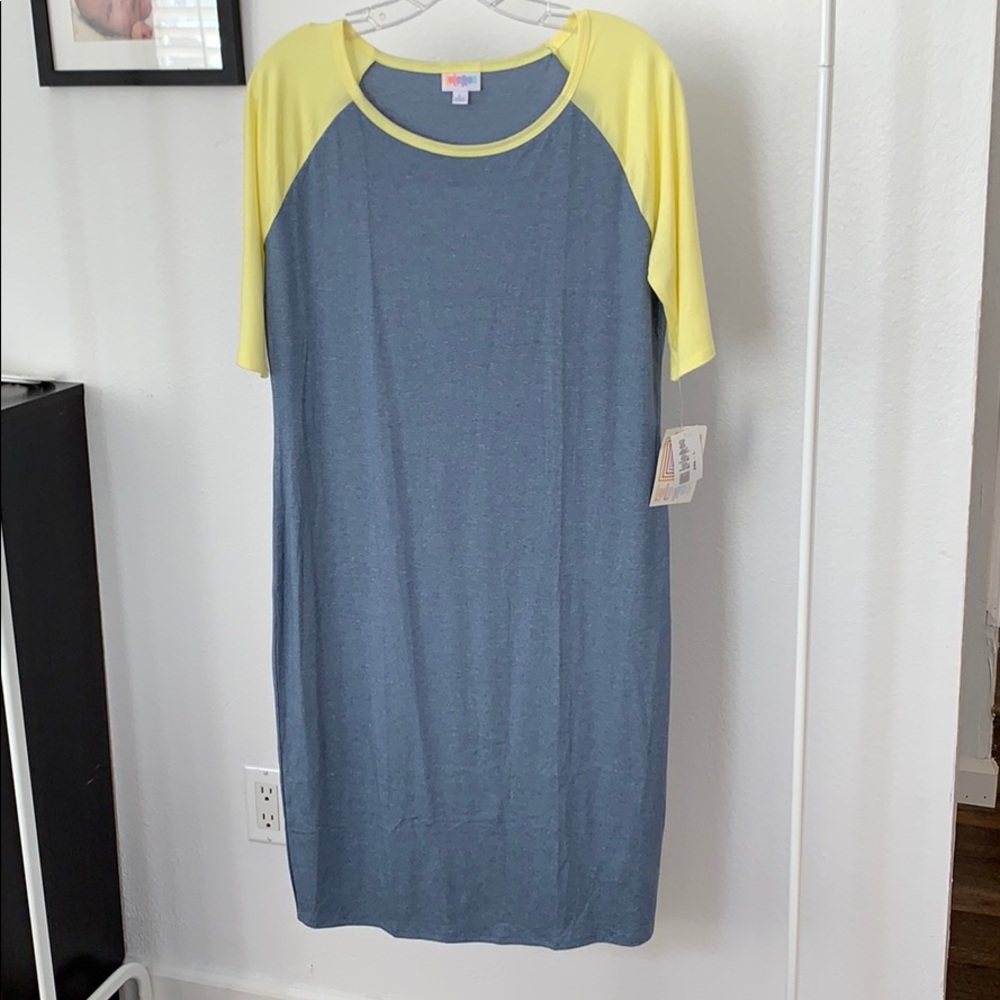 Lularoe Julia dress